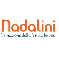 nadalini logo 2